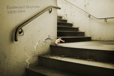 Eadweard Muybridge Tribute